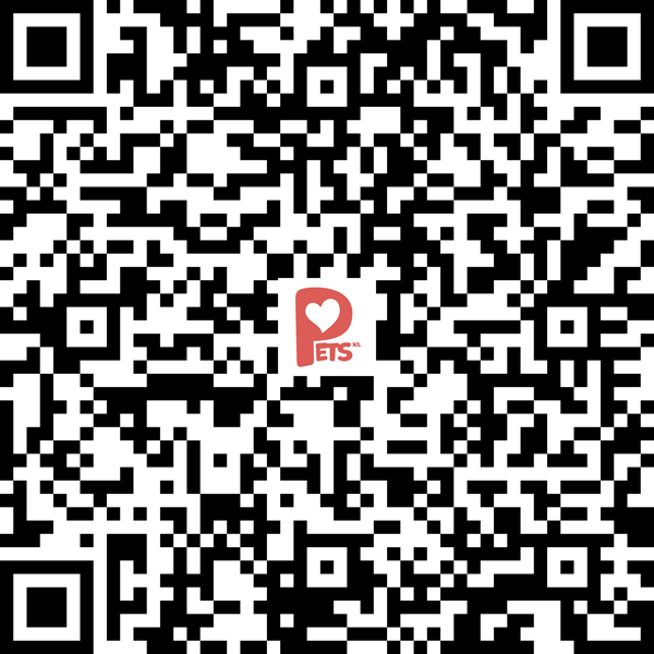 Check-in